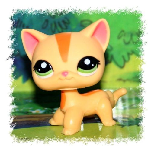 1000130_110509131924_lps_cat_1905